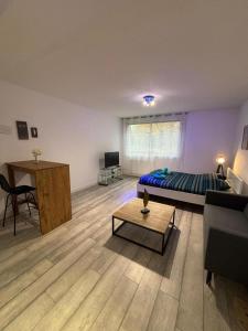 Appartements Superbe grand studio, parking : photos des chambres