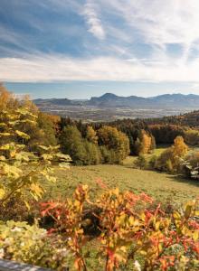 Ferienwohnung auf dem Högel in Piding