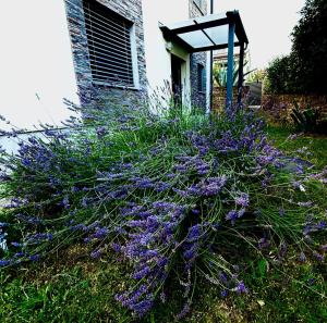 Apartma Lavanda Portorož 