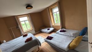 Les copaines dabord !