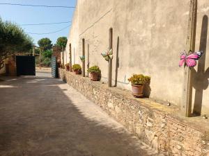 La Pallissa 9