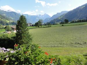 Apart Alpensonne