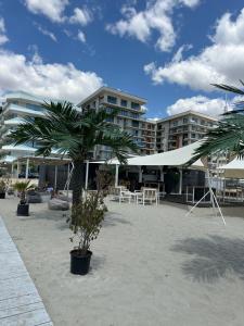 Anias Front View of the Black Sea 13