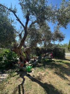Seashore house Makri