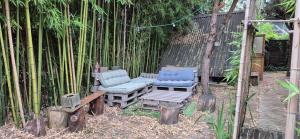 Maisons de vacances La Cabane de Taussat proche de la plage : photos des chambres