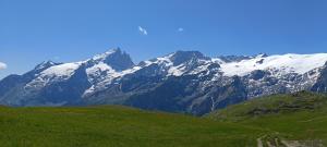 Appartements Studio Cabine 4 pers Les2Alpes 21m² : photos des chambres