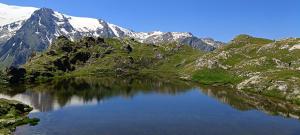 Appartements Studio Cabine 4 pers Les2Alpes 21m² : photos des chambres