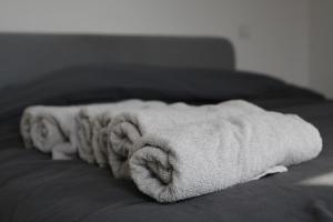 Magnifique penthouse ERASME