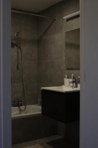 Magnifique penthouse ERASME