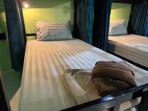 Khao Sok Jungle Hostel