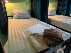 Khao Sok Jungle Hostel