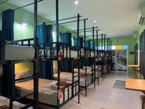 Khao Sok Jungle Hostel