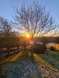Damson Pod at Mulino Pods