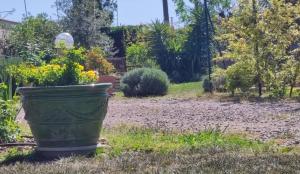 B&B / Chambres d'hotes Chambres d-hotes Sauvian : photos des chambres