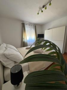 Apartmani Dolores