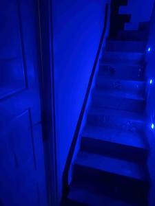 Egytp flat in the heart of city