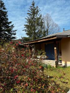 Maisons de vacances Petit Chalet De Montagne : photos des chambres