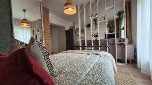 Tuia apartment- Cozy Studio