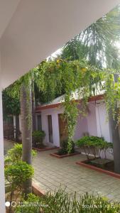 Damus rainbow resort