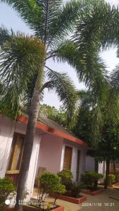 Damus rainbow resort