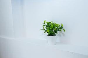 Summer Residence Kos