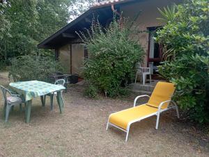 Charmant T1 avec jardin