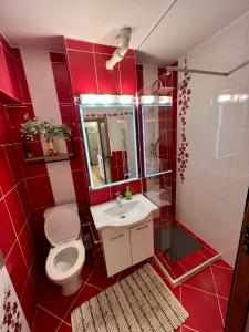 Apartament Aerodrom Barza