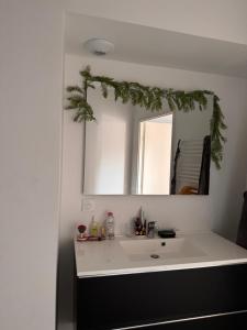 Appartement Cap dAgde