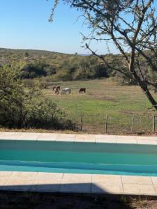 Sierras de Córdoba Ascochinga vivienda Privada