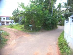 Staycation Homestay