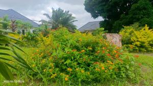 Shalom Wellspring Cottage