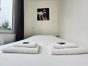 Chavalliaud 5 super cocon proche du centre ville