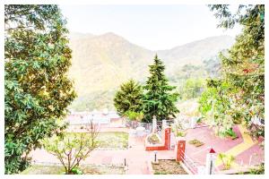 Boost Go Resort Peach-wood Nainital