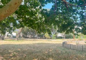 Hotels Hotel Le Carnon : photos des chambres