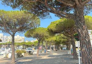 Hotels Hotel Le Carnon : photos des chambres