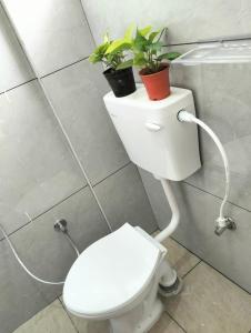 1BHK 23 Furniture flat sg palya