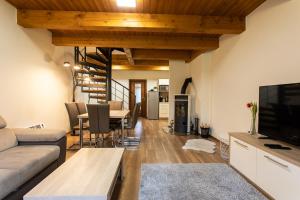 Deluxe Maisonette Apartment with Kitchen and Terrace (6 Adults) room in Wellness hotel Říčky