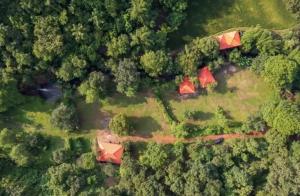 Leafyden Forest Cottages
