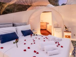 Tenuta Lu Baroni img55