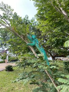 Andasibe Sifaka Lodge