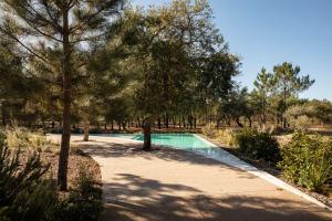 Deluxe Comporta Mundo