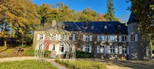 B&B / Chambres d'hotes Chateau de l Aviette - Rancennes : photos des chambres
