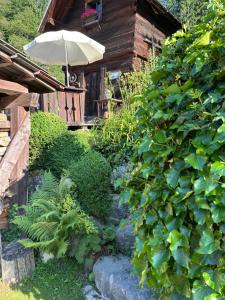 Wohnstudio in umgebauter Scheune