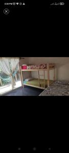 Surf homes