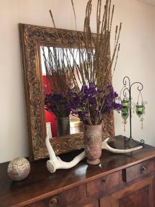 Chambre sous les cyprès