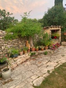 Chambre sous les cyprès