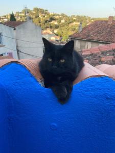 Village house for 4 people with terrace