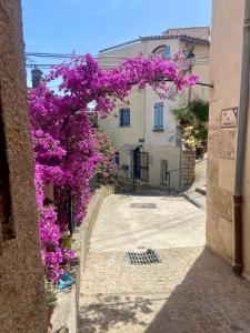 Village house for 4 people with terrace