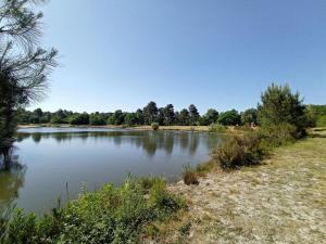 Appartements Nid du Merle, Pessac : photos des chambres