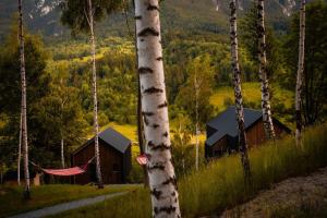 Mountain Escape Resort